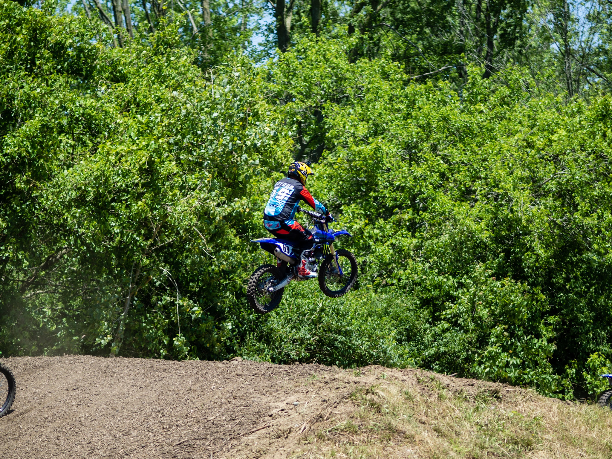 Wildcat Creek 6_2020